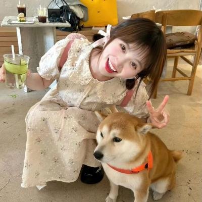 来都来了
